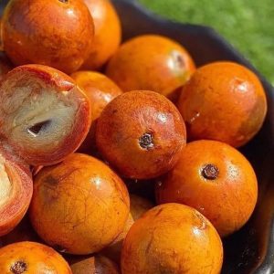 African cherry (Agbalumo) - 20 pieces